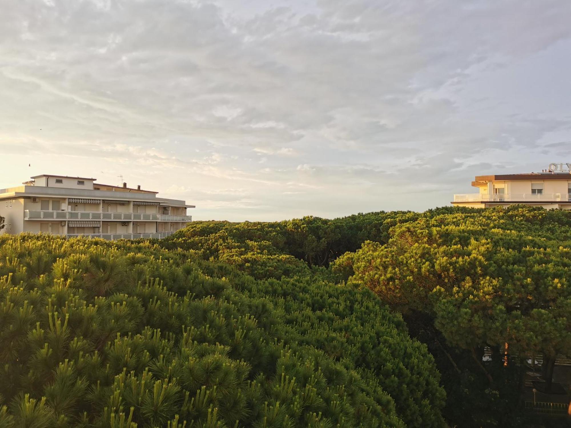 Hotel Pine Beach Rosolina Mare Luaran gambar